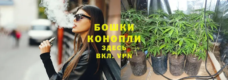 что такое   Томск  Конопля тримм 